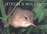 Птицы в Москве Фотоальбом артикул 4661a.